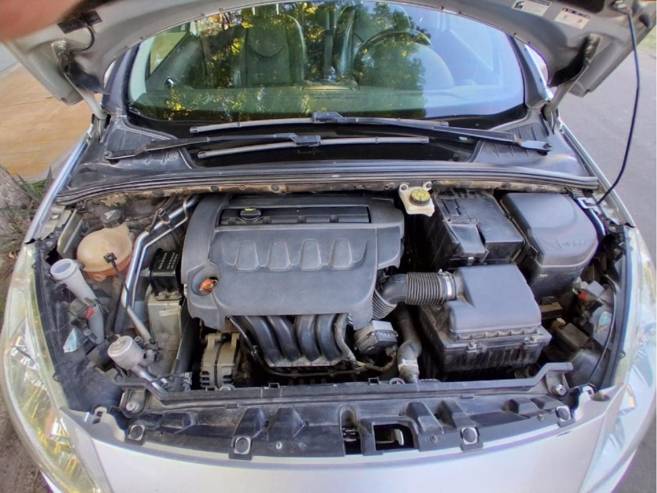 Miniatura 8