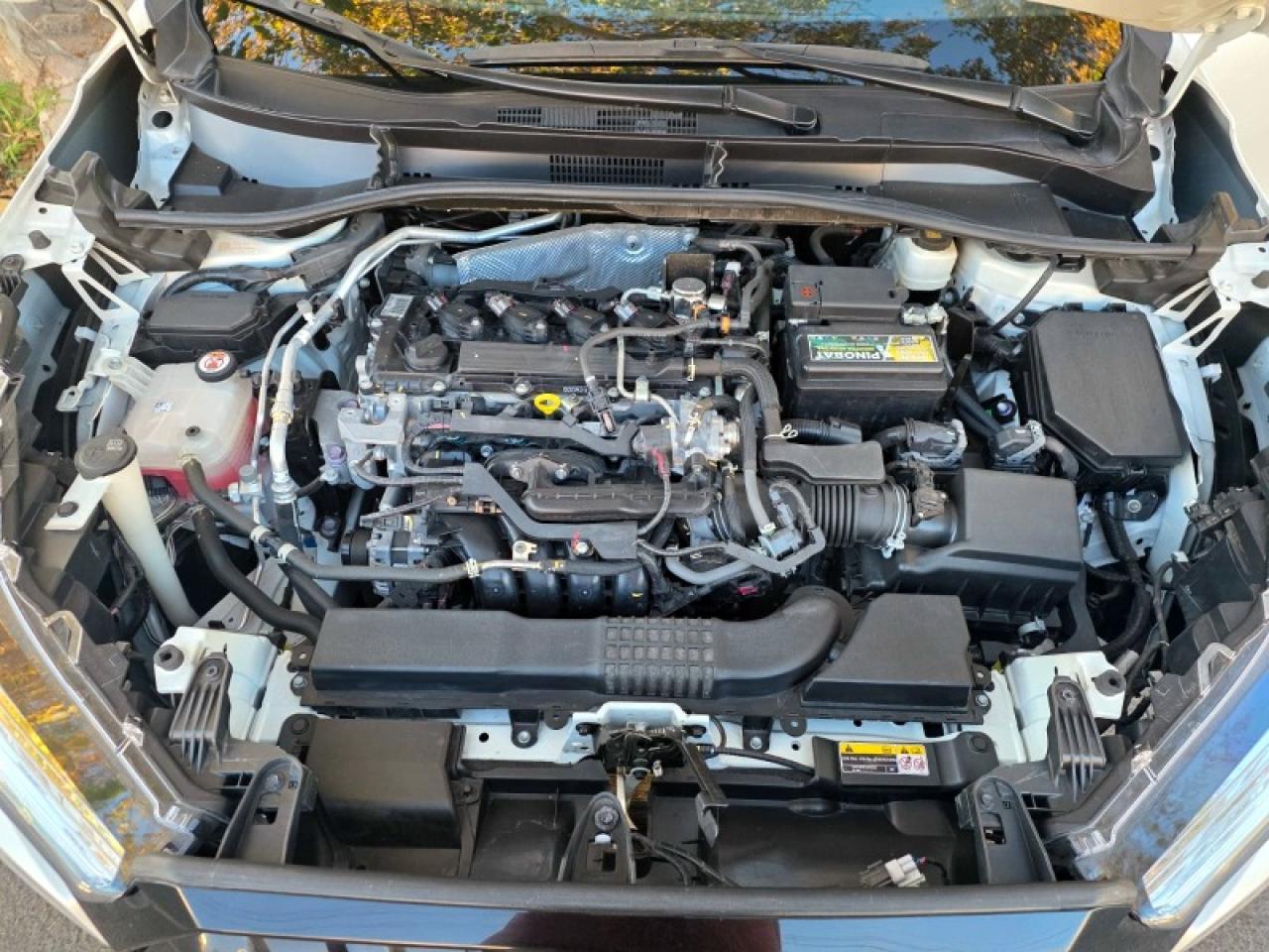 Miniatura 8