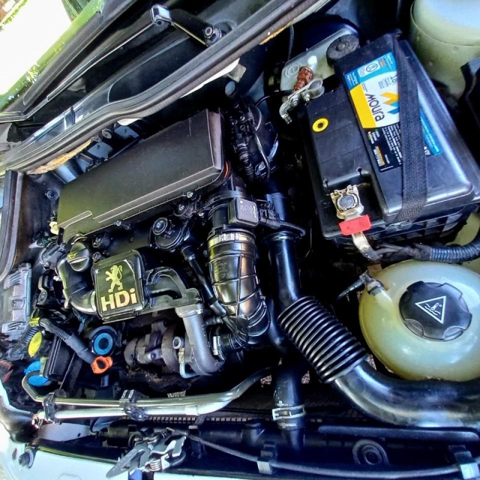Miniatura 9