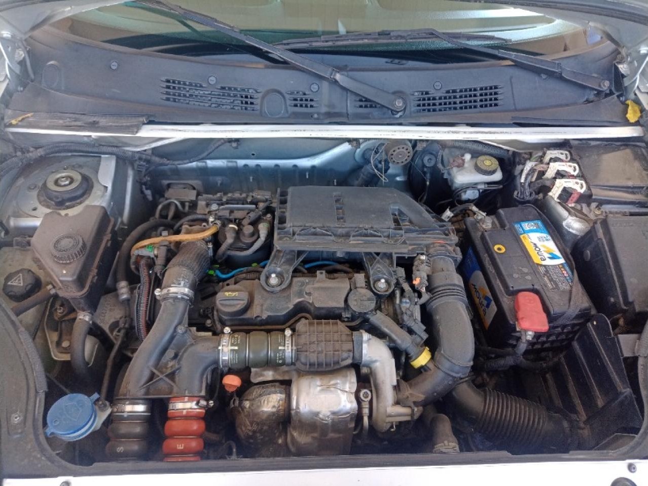Miniatura 5