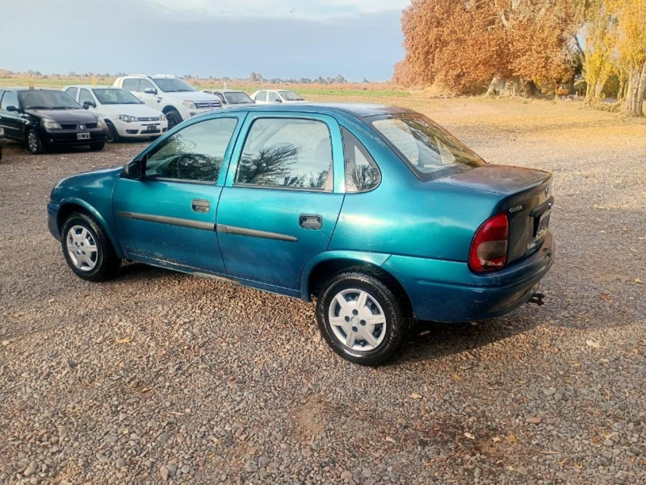 Miniatura 5