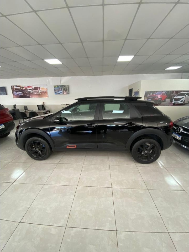 C4 Cactus Vti At Feel