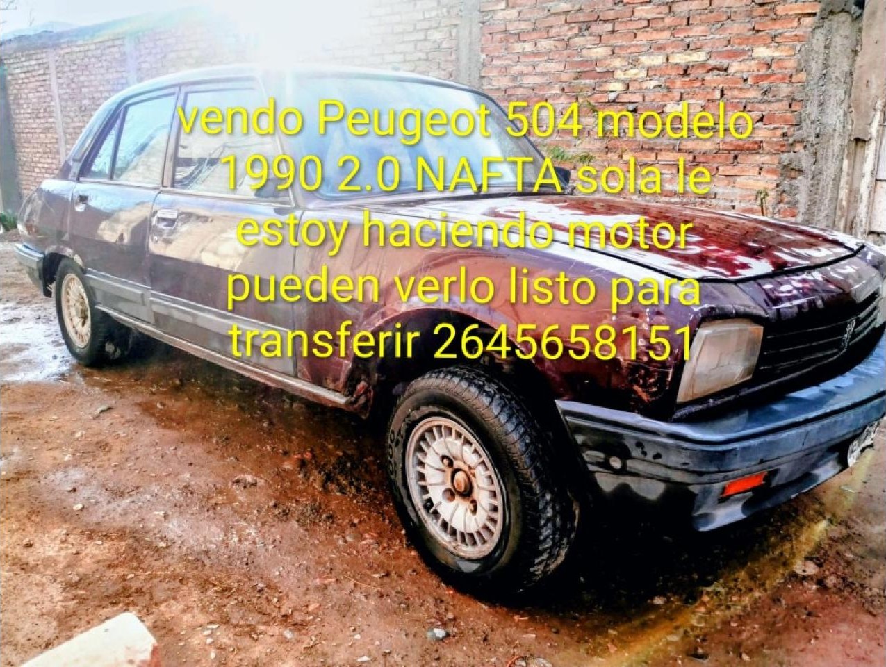 Peugeot 504