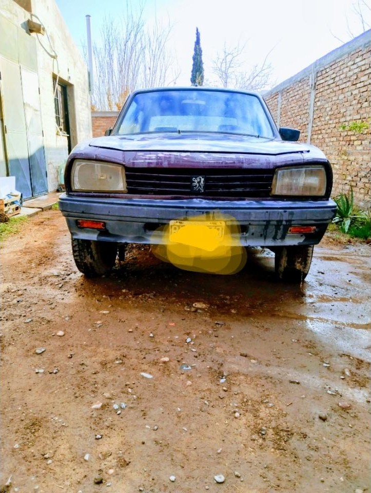 Peugeot 504 1987