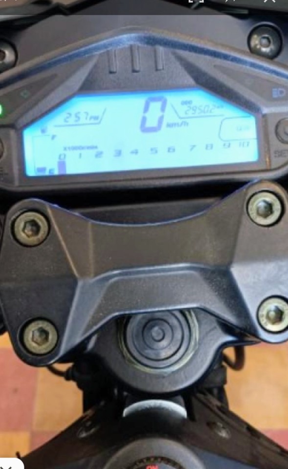 Miniatura 3