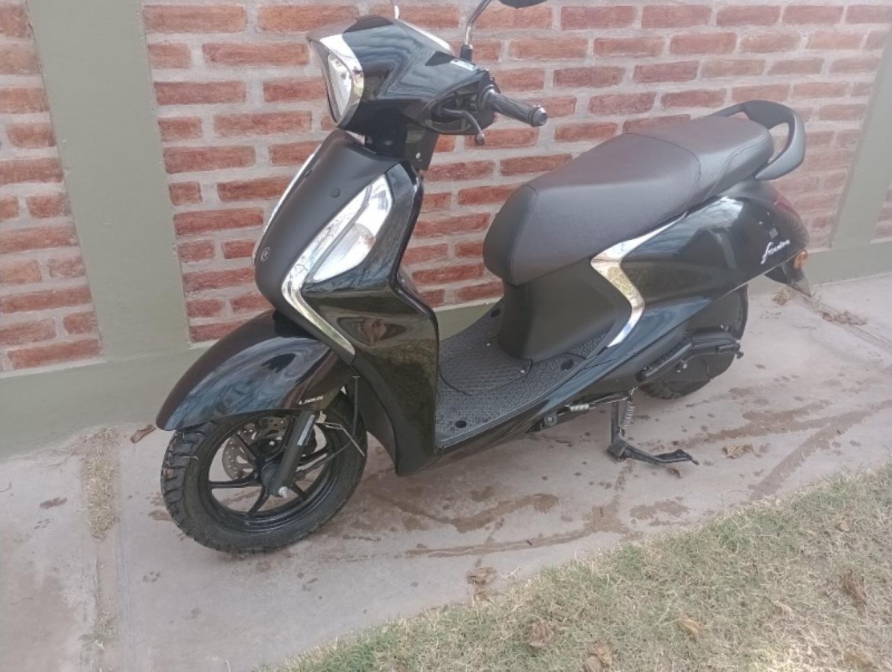 Miniatura 6