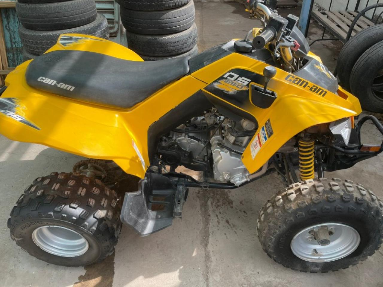 Cuatrciclo Can Am Ds 250 Cc